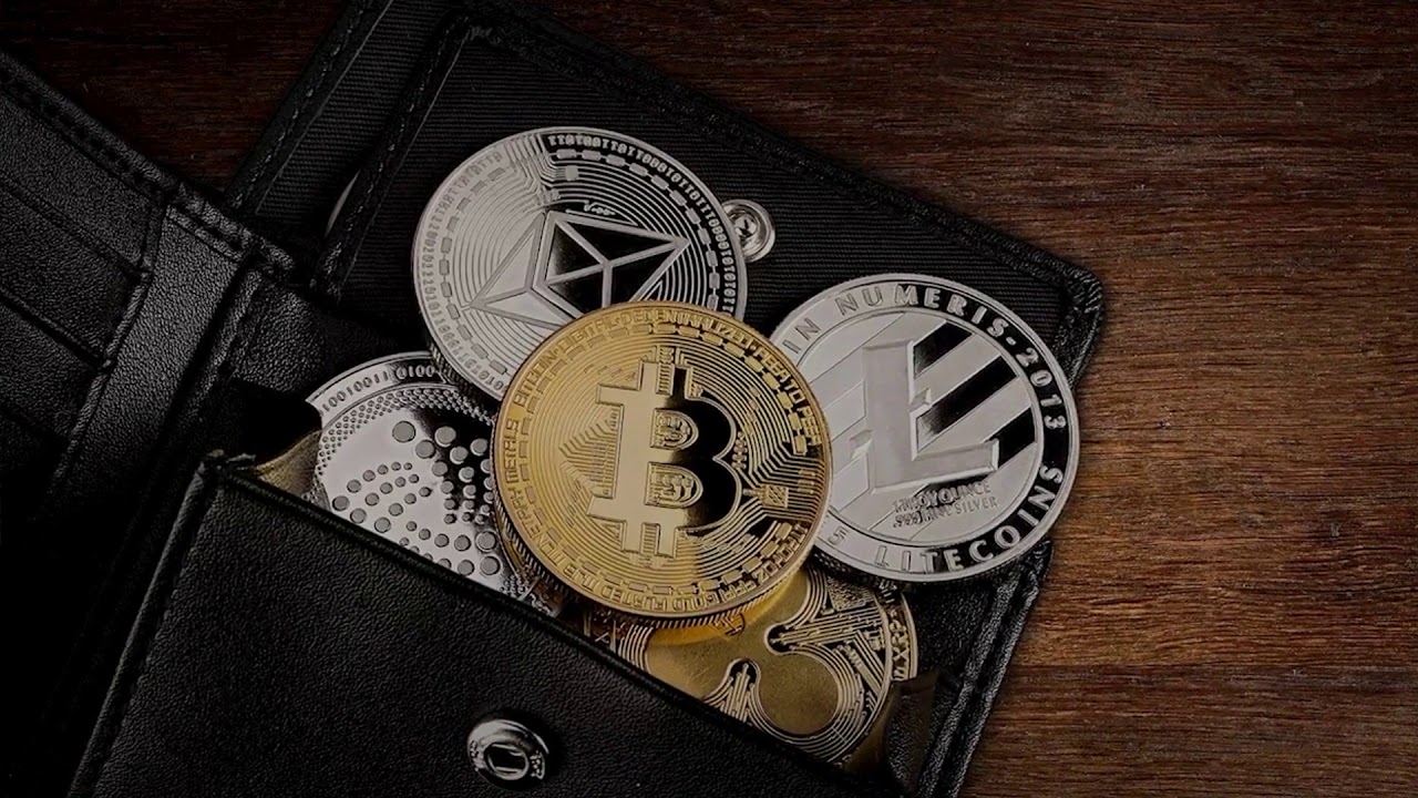 Best hard wallet for cryptocurrency bitcoin cash and coinbase