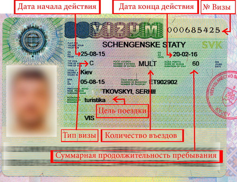 Для каких стран нужно оформлять шенгенскую визу?