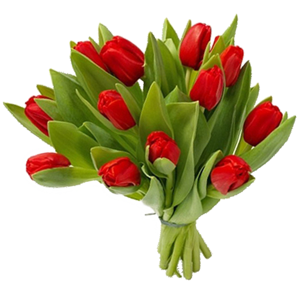 Букет тюльпанов как символ
