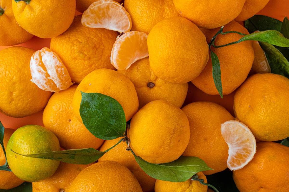 Польза мандаринов: витаминный баланс и заряд бодрости