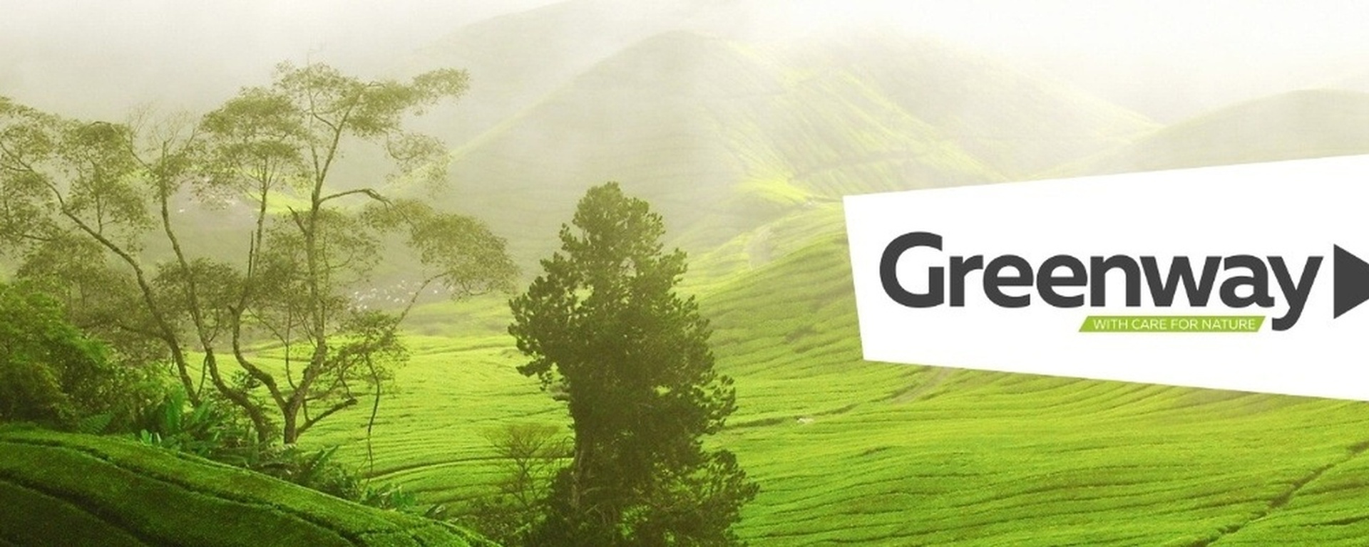 Greenway Global: ваш путь к экологической косметике
