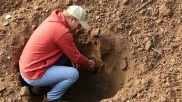 Копка колодцев: от выбора места до чистой воды в ведре